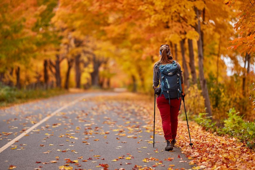 À la découverte du Mont-Comi - Tourisme Bas-Saint-Laurent